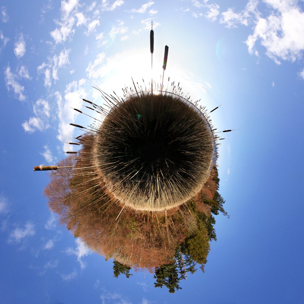 360 little planet of Acadia Beach, Vancouver