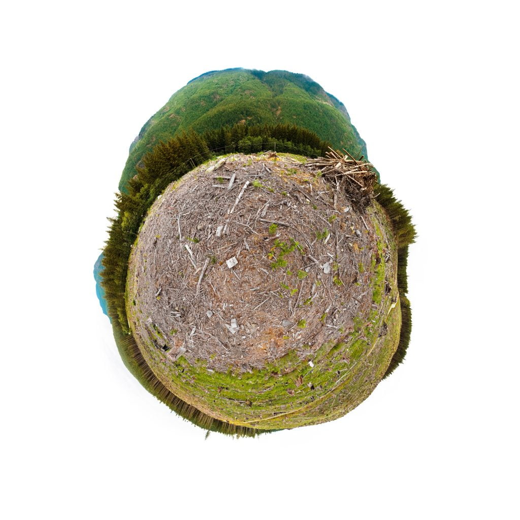 360 little planet view of clearcut logging, Vancouver Island